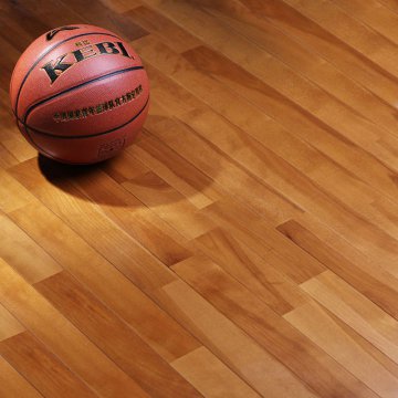 籃球館解決方案