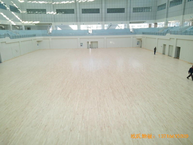 云南紅河州財經(jīng)大學體育館體育木地板鋪設案例4