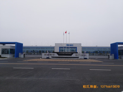 湖北獵豹汽車(chē)產(chǎn)業(yè)園運(yùn)動(dòng)館運(yùn)動(dòng)地板施工案例