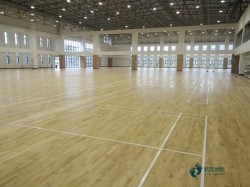 籃球木地板廠家電話是多少