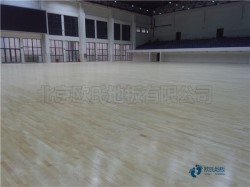 籃球場木地板用中醫(yī)療法選精品