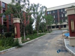 定做運(yùn)動(dòng)體育木地板行業(yè)品牌